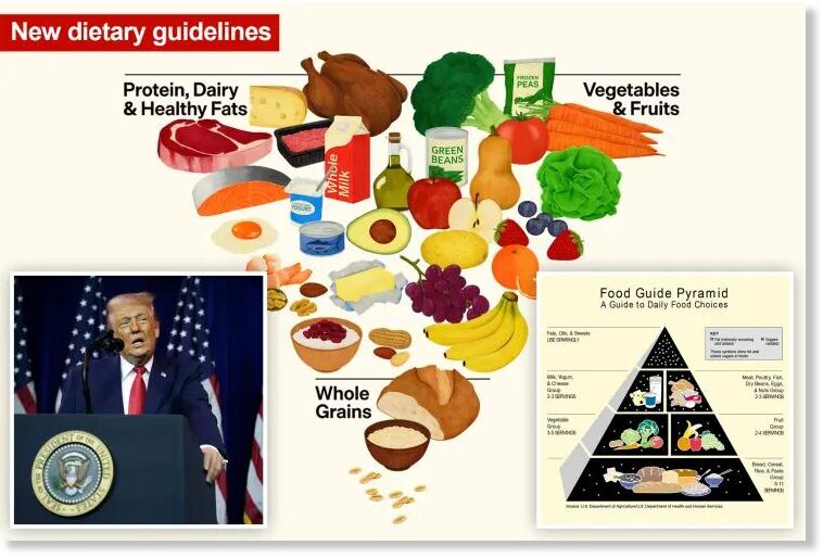 food pyramid