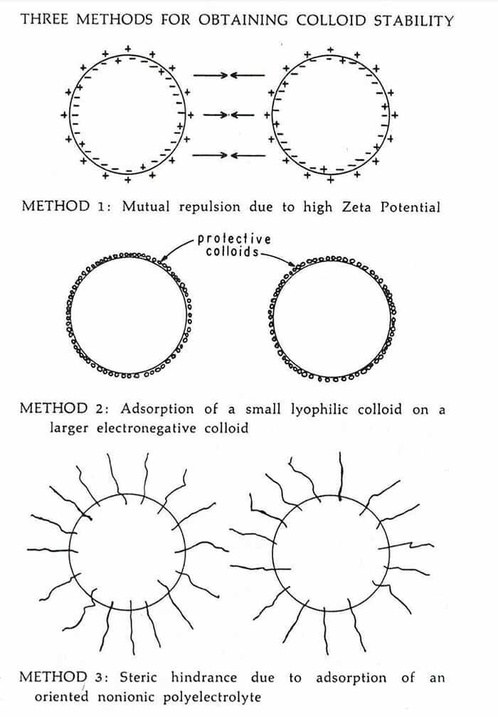 Zeta Potential