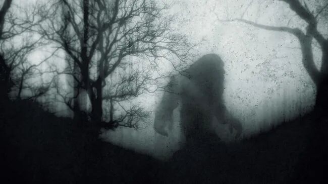 Is Bigfoot real