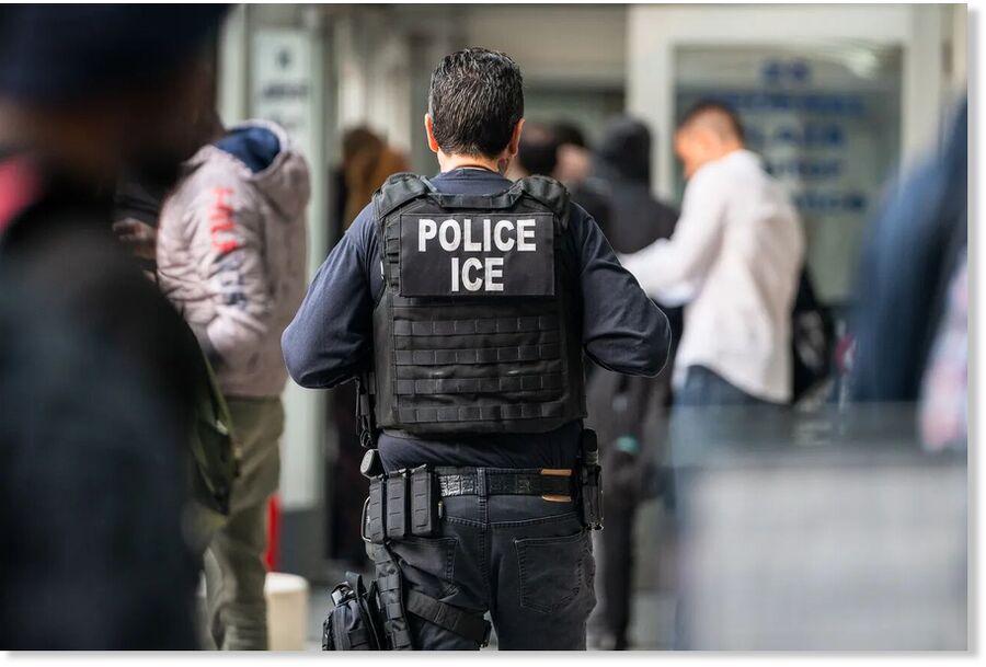 ice police