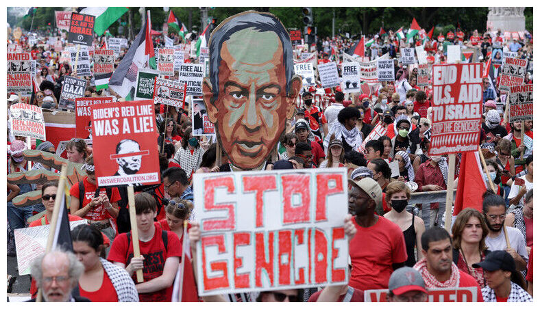 Click to enlarge Pro-Palestinian Activist