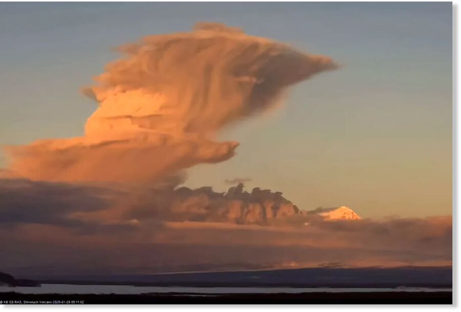 Shiveluch volcano in Russia erupts spectacularly