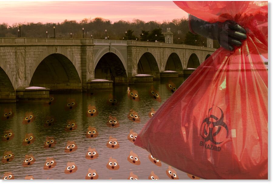 potomac