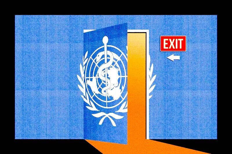Who Door