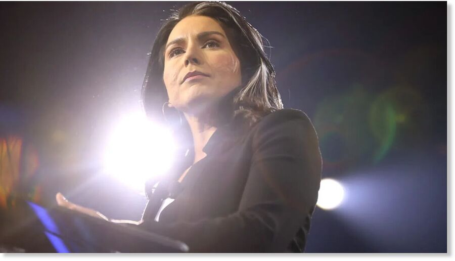 tulsi gabbard
