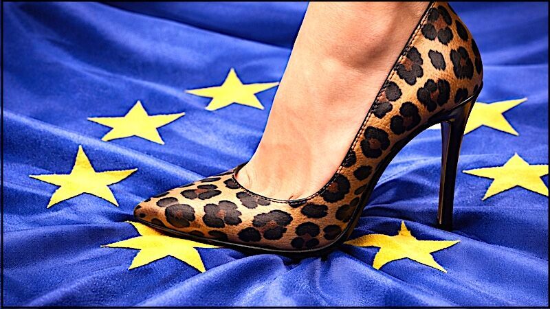 EU flag shoe
