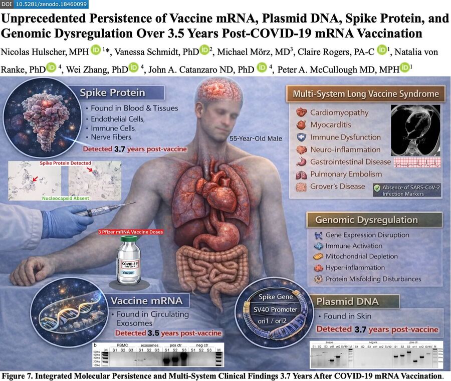 vaccine spike protein persistence