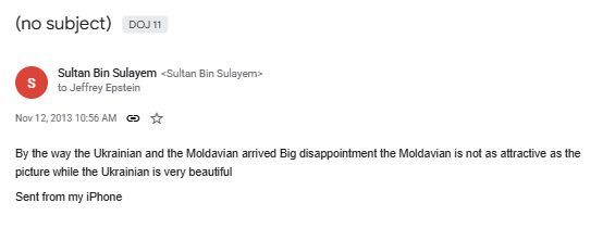 Click to enlarge Sultan bin Sulayem email to epstein