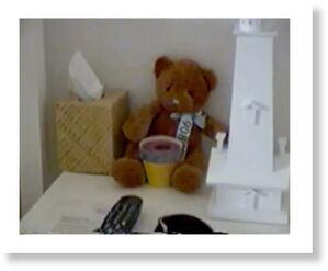 epstein teddy bear