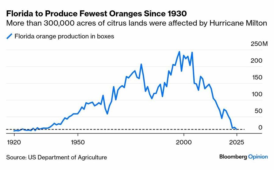 Click to enlarge USDA chart Florida oranges harvest