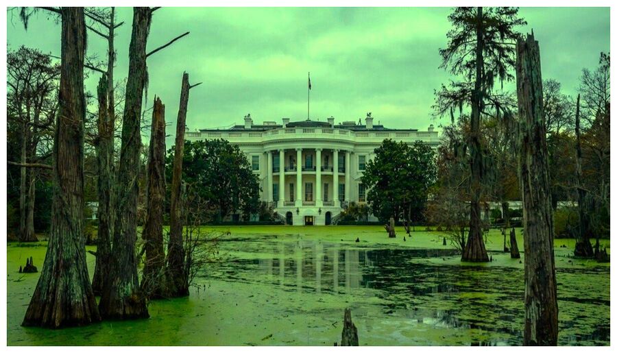 DC Swamp