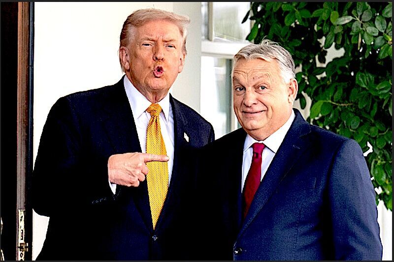 Click to enlarge TrumpOrban