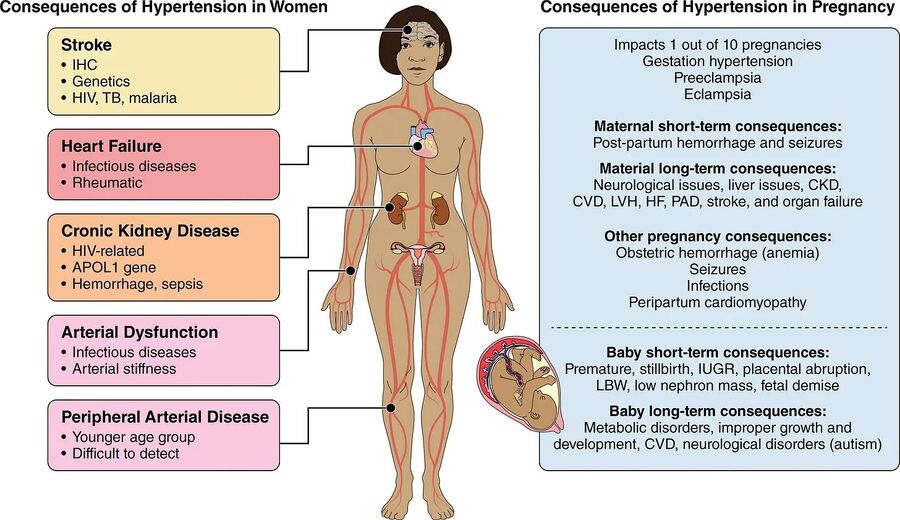 effects on pregnancy