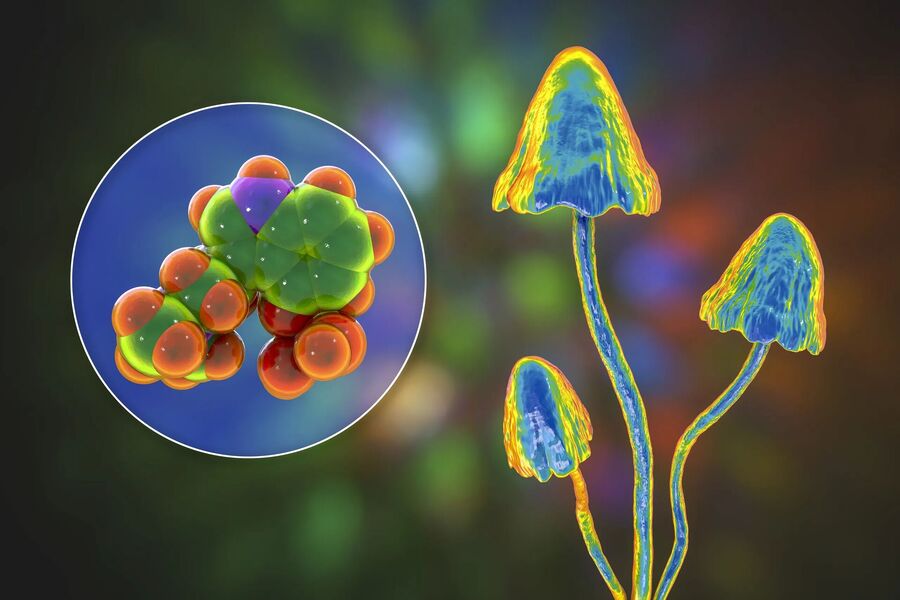 Psilocybin