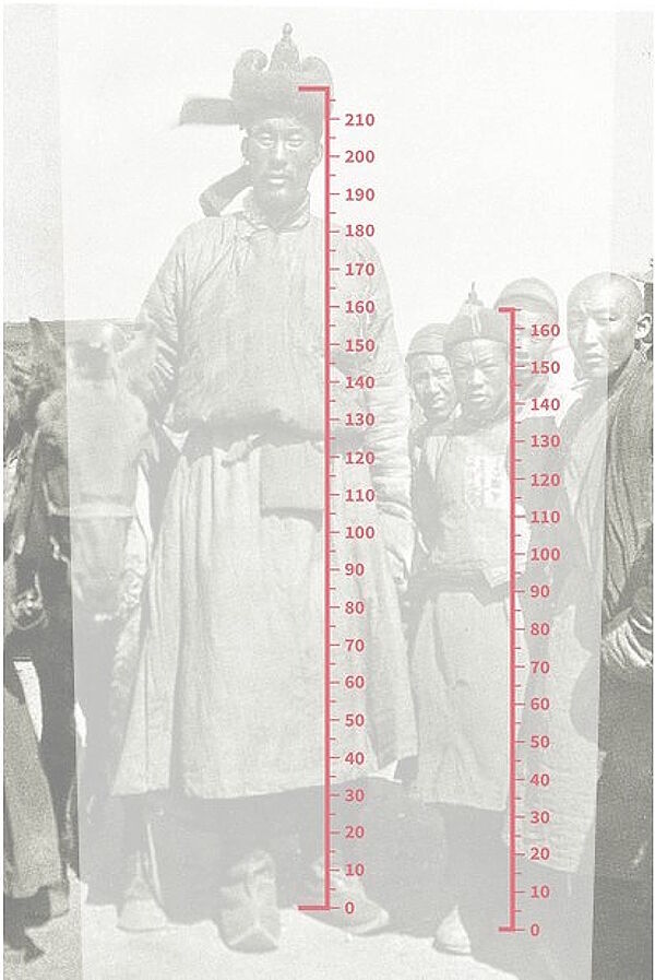Click to enlarge mongolian giant hight comparison