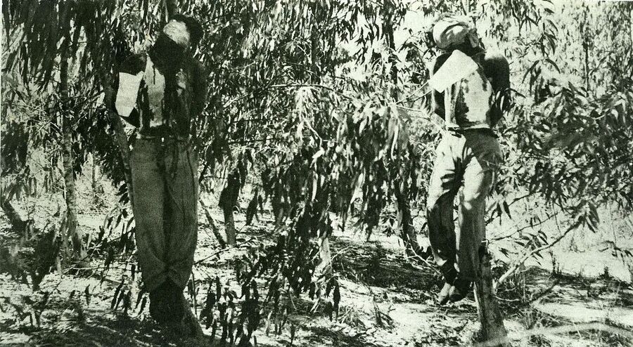 Click to enlarge irgun israel hang british soldiers terrorists