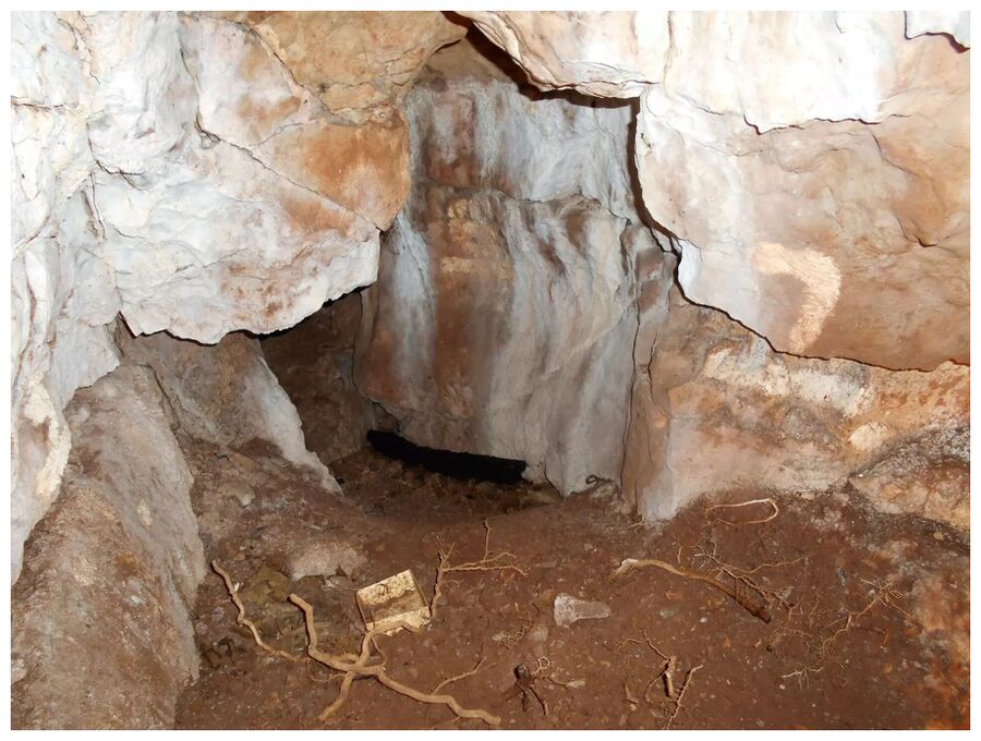 Cave Entrance
