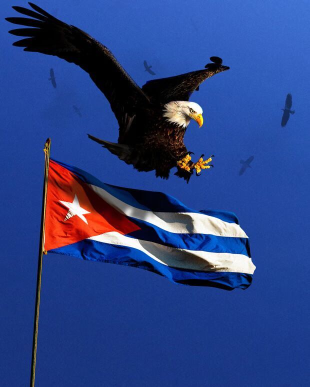 Click to enlarge Eagle and Cuban flag