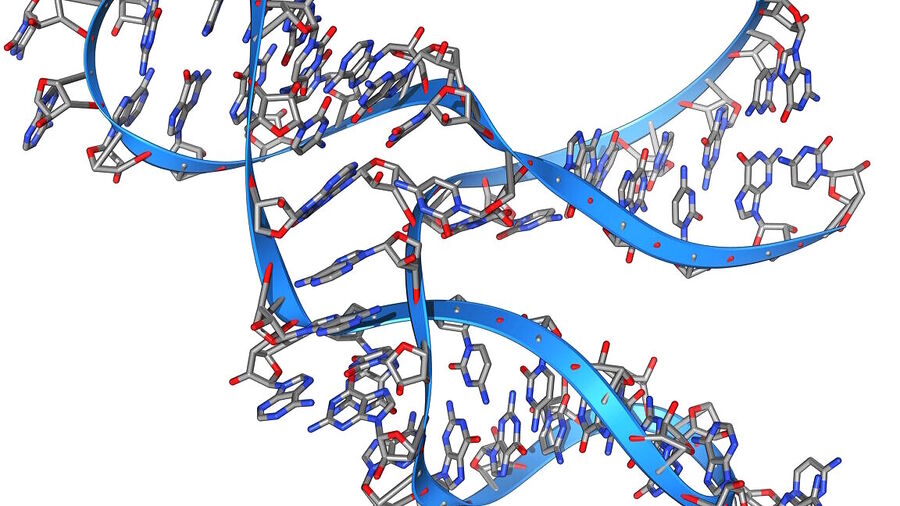 rna self replication small 45 base pairs