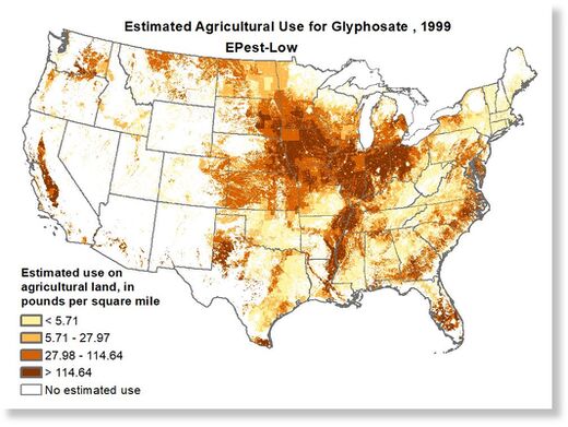 glyphosate 2