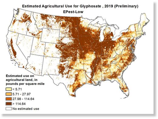 glyphosate 3