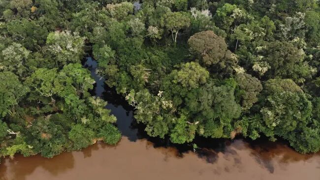 Congo Basin ancient carbon