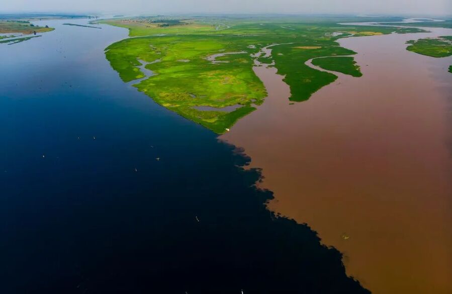 Click to enlarge congo basin, fimi and kawai