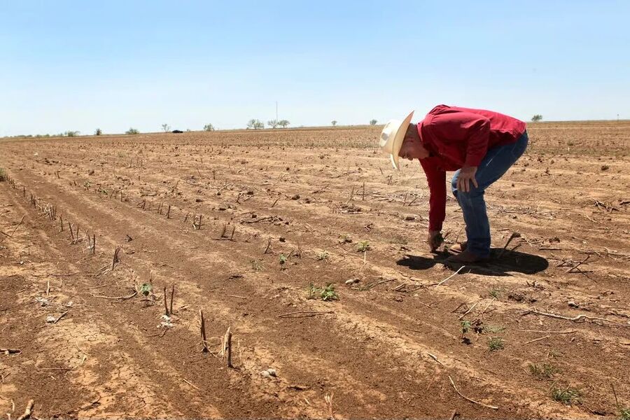 Drought stricken field