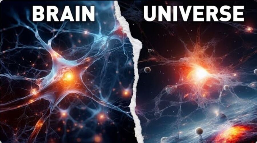 brain neurons universe
