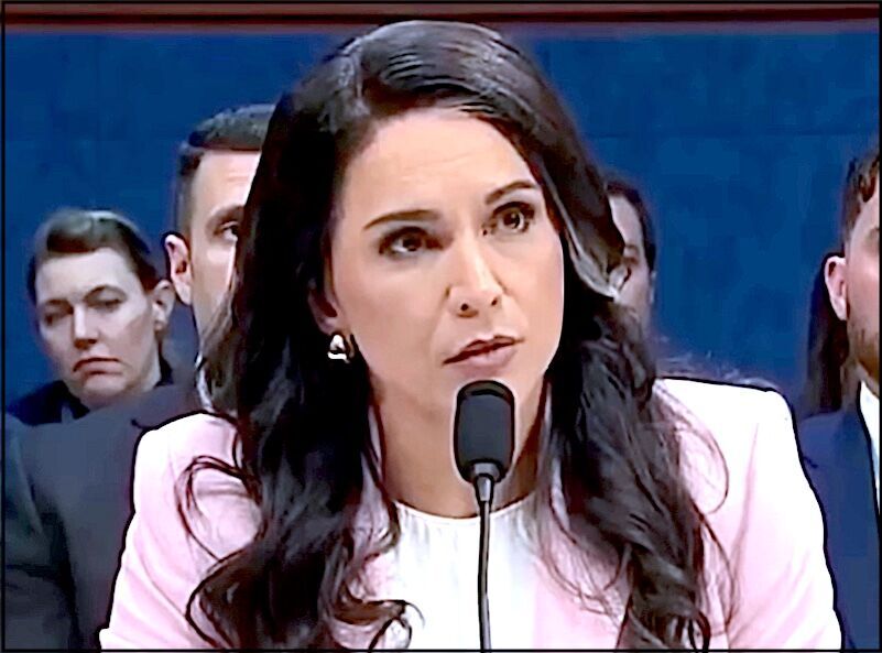 Tulsi Gabbard
