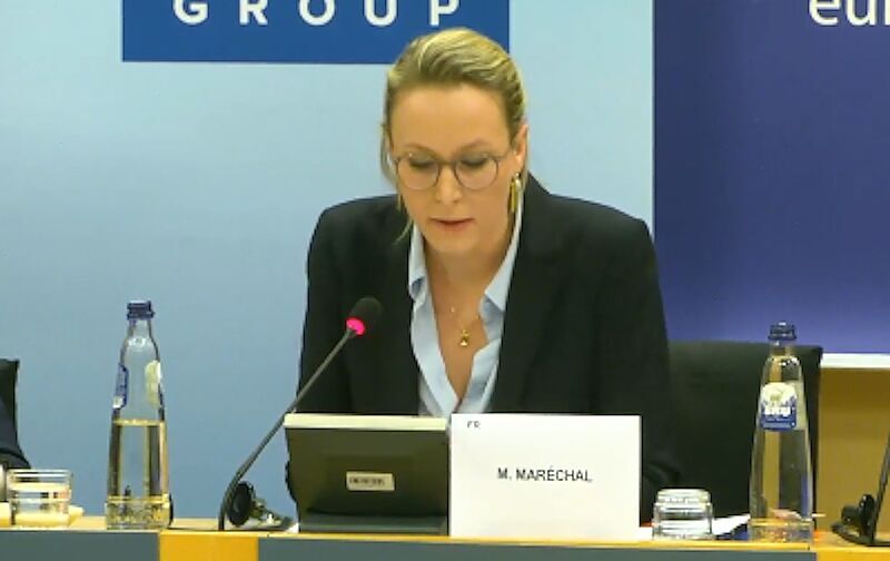 Click to enlarge French politician Marion Maréchal