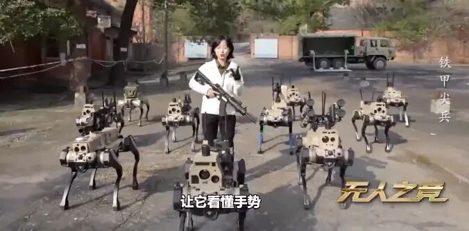 Chinese robot dogs