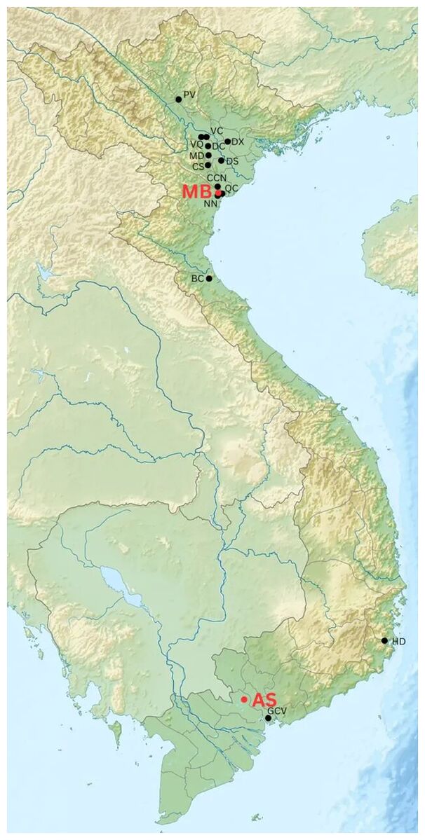 Click to enlarge Map Vietnam
