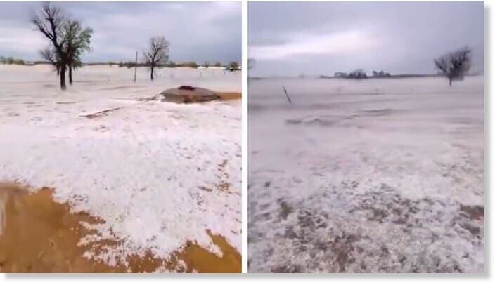 Click to enlarge A breathtaking view of the Arjunsar desert in Bikaner covered in a thick layer of white hail after a sudden storm. (