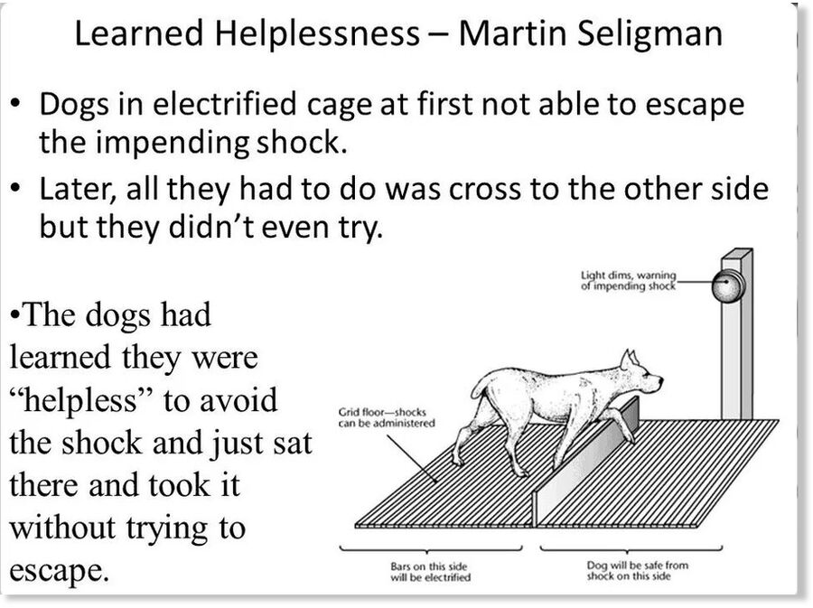 Learned helpnessness