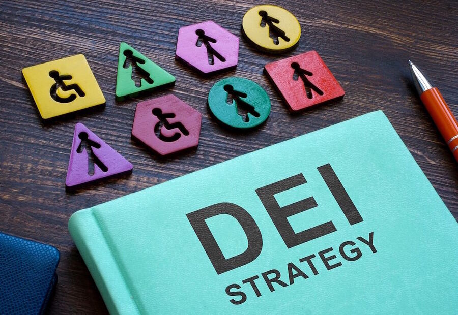 dei business