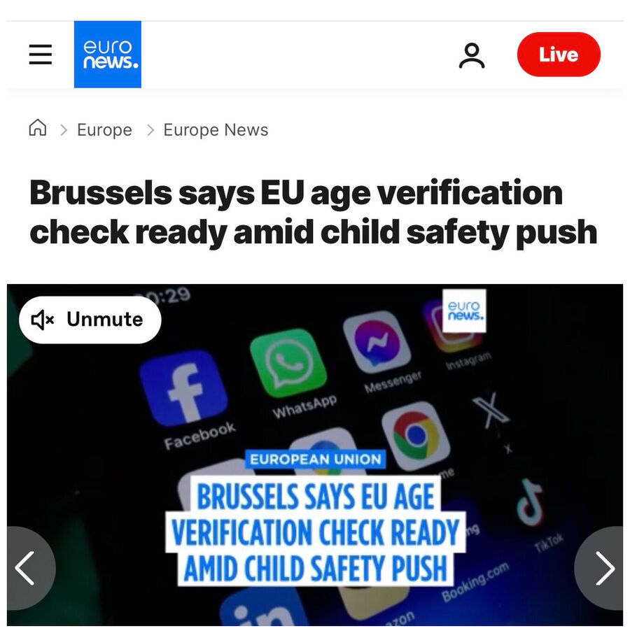 Click to enlarge EU Age Verification