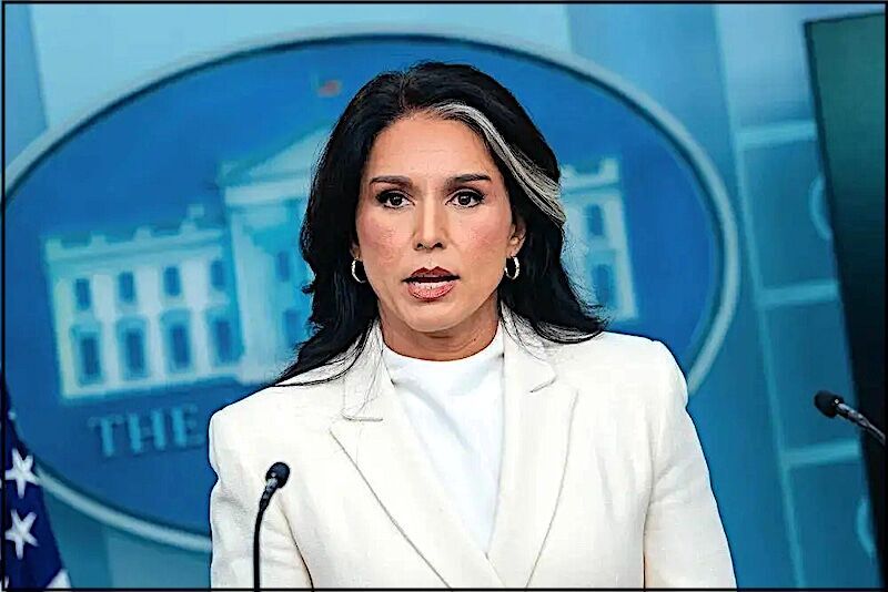 Tulsi Gabbard