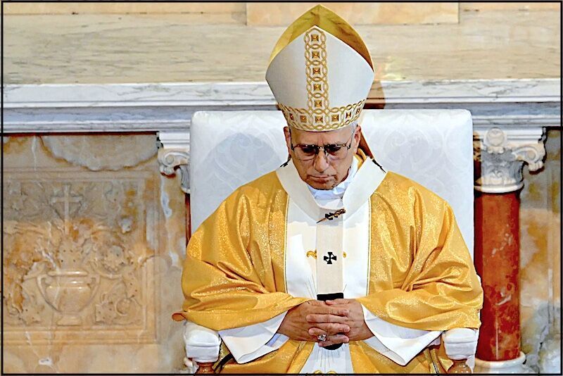 Click to enlarge Pope Leo in Africa