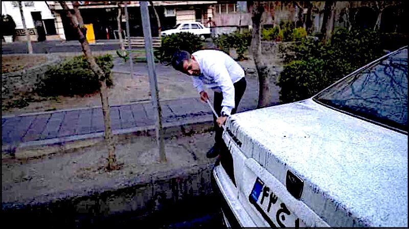 Man cleans car