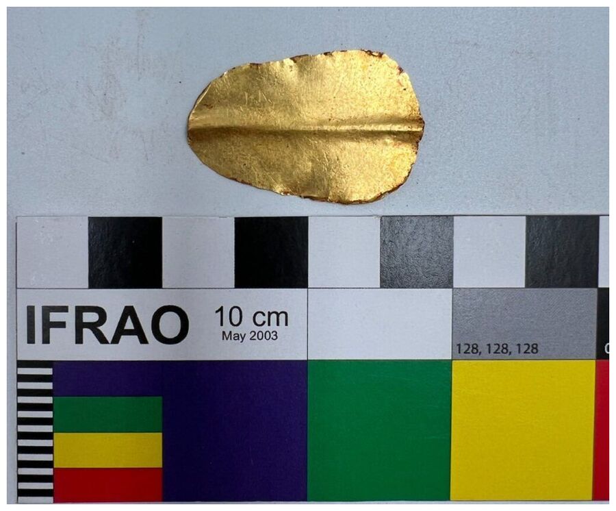 Click to enlarge Golden tongues.
