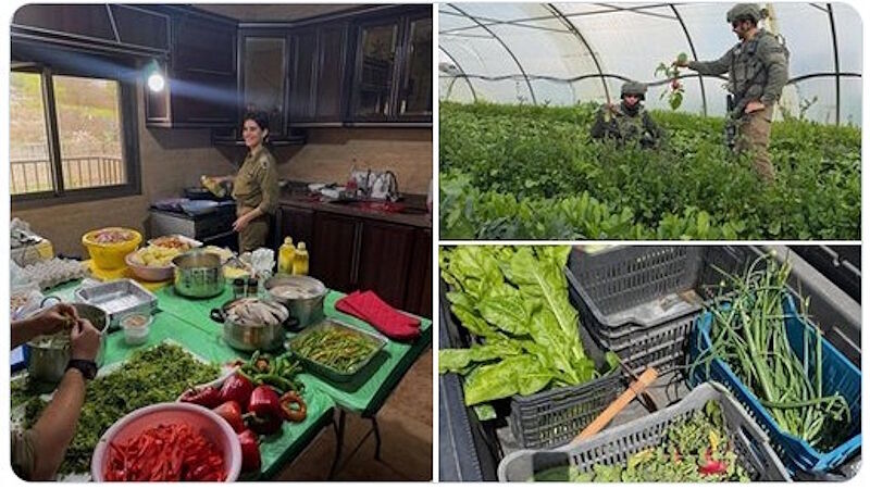 idf steal food lebanon