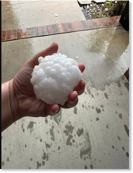 This is a huge hail stone that fell near Springfield, MO
