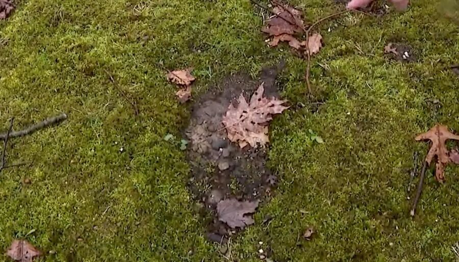 Click to enlarge Alleged Bigfoot sightings in Ohio