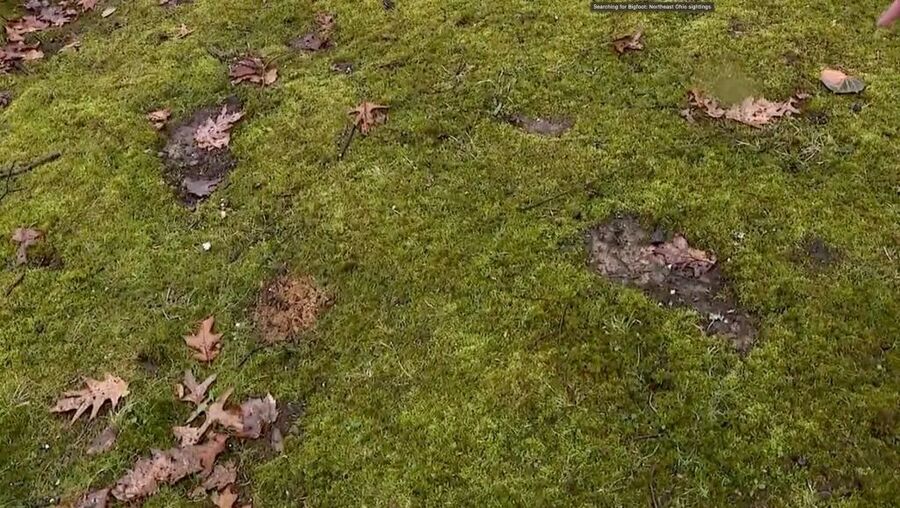 Click to enlarge bigfoot tracks in Ohio