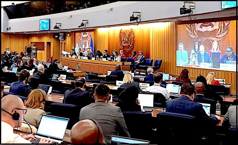 The World Maritime Organization