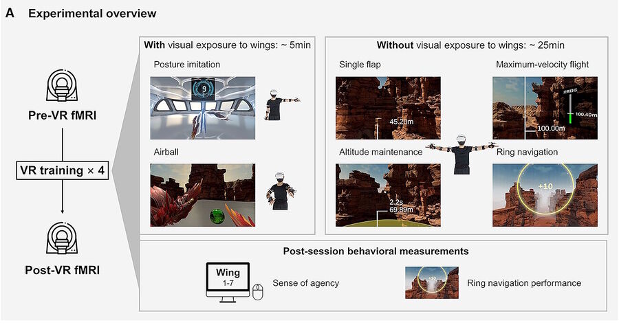 Click to enlarge virtual reality training wings brain plasticity