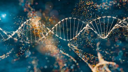 dna hanta virus