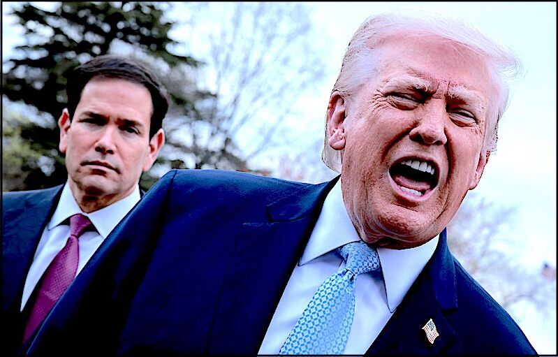 Trump Rubio