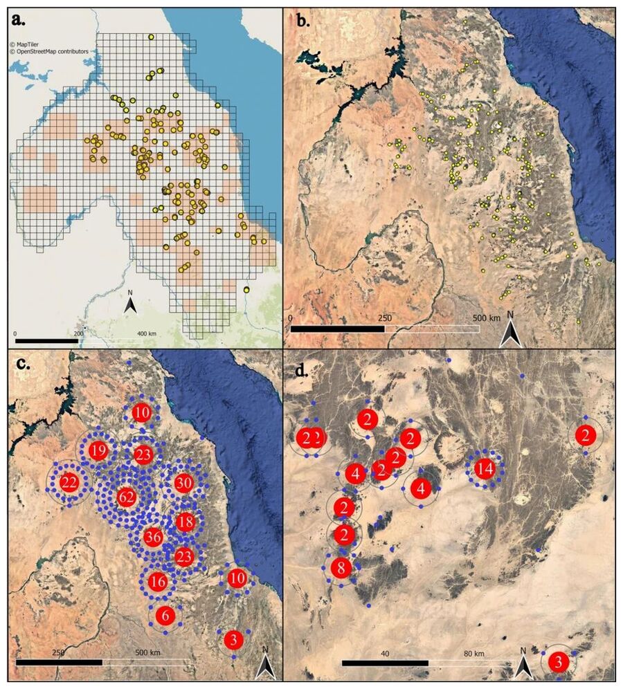 Click to enlarge survey map of the Atbai Desert